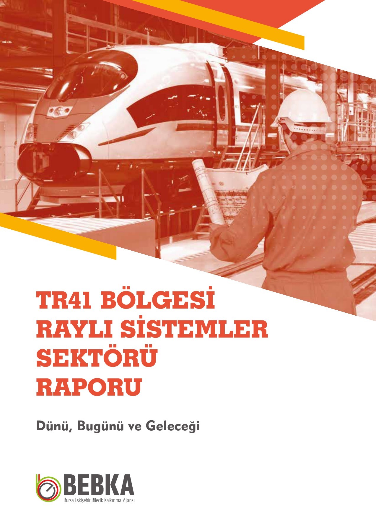 TR41 Bölgesi Raylı Sistemler Sektörü Raporu