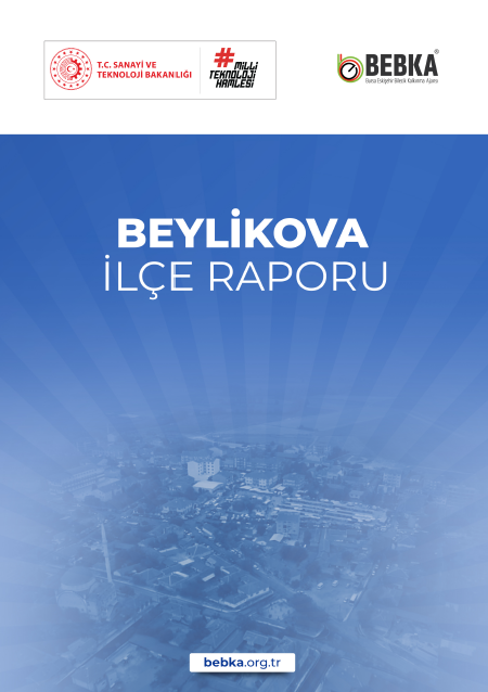 Beylikova İlçe Raporu