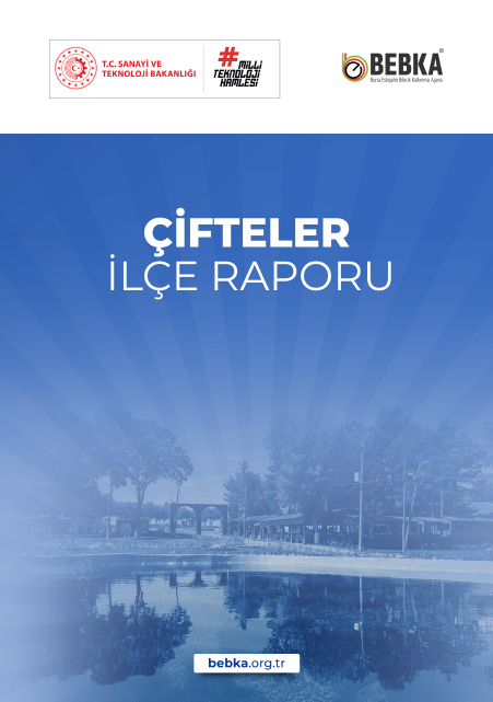 Çifteler İlçe Raporu