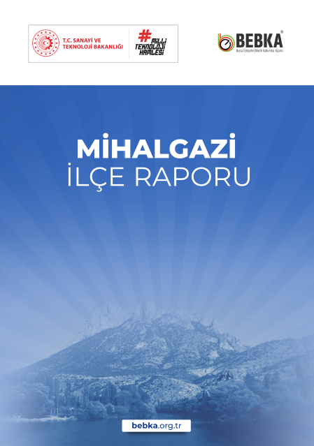 Mihalgazi İlçe Raporu