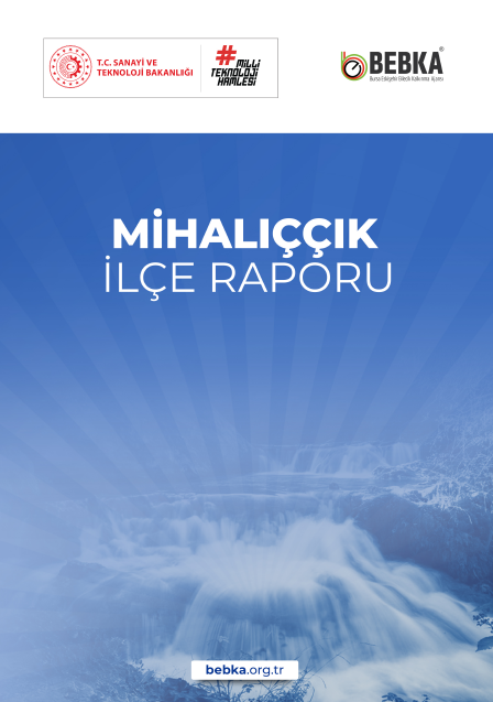 Mihalıççık İlçe Raporu