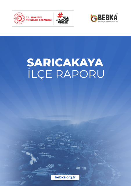 Sarıcakaya İlçe Raporu