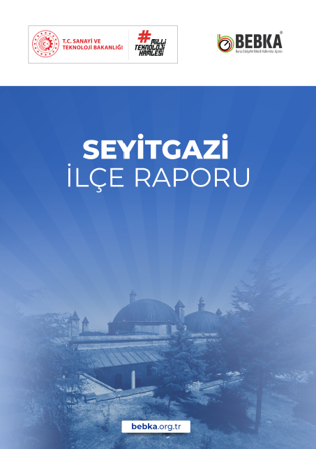 Seyitgazi İlçe Raporu