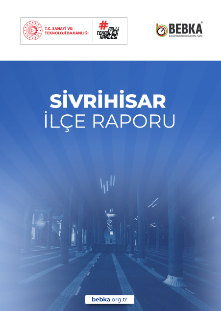 Sivrihisar İlçe Raporu